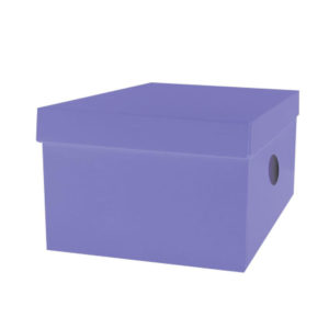 Κουτί Αποθήκευσης The littlies Χαρτόνι